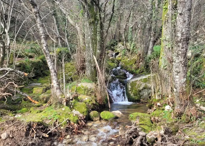 Da Eira Cetos